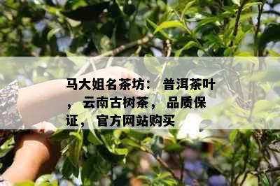 马大姐名茶坊： 普洱茶叶， 云南古树茶， 品质保证， 官方网站购买