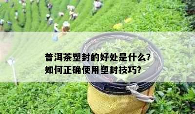 普洱茶塑封的好处是什么？如何正确使用塑封技巧？