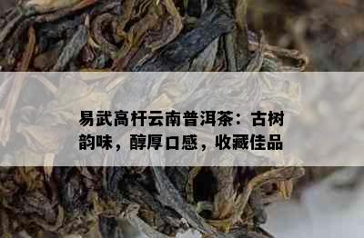 易武高杆云南普洱茶：古树韵味，醇厚口感，收藏佳品