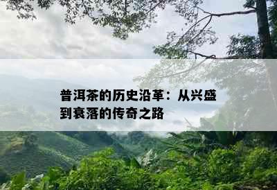 普洱茶的历史沿革：从兴盛到衰落的传奇之路