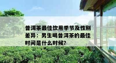 普洱茶更佳饮用季节及性别差异：男生喝普洱茶的更佳时间是什么时候？