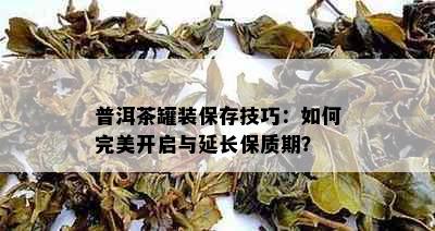 普洱茶罐装保存技巧：如何完美开启与延长保质期？