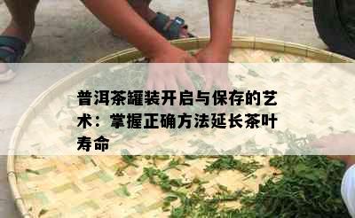 普洱茶罐装开启与保存的艺术：掌握正确方法延长茶叶寿命