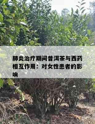 肺炎治疗期间普洱茶与西相互作用：对女性患者的影响