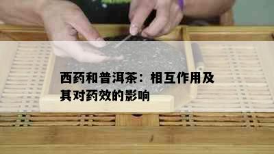 西和普洱茶：相互作用及其对效的影响