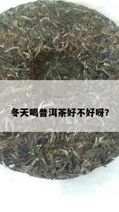 冬天喝普洱茶好不好呀？