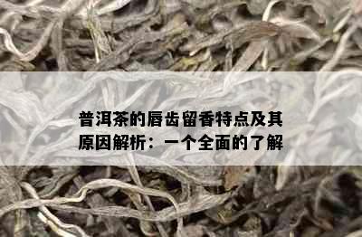 普洱茶的唇齿留香特点及其原因解析：一个全面的了解