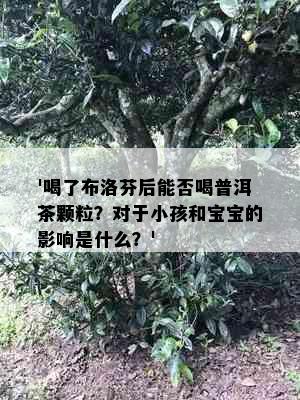 '喝了布洛芬后能否喝普洱茶颗粒？对于小孩和宝宝的影响是什么？'