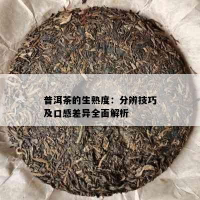 普洱茶的生熟度：分辨技巧及口感差异全面解析