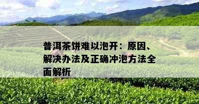 普洱茶饼难以泡开：原因、解决办法及正确冲泡方法全面解析