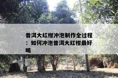 普洱大红柑冲泡制作全过程：如何冲泡普洱大红柑更好喝