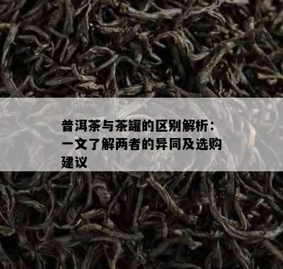 普洱茶与茶罐的区别解析：一文了解两者的异同及选购建议