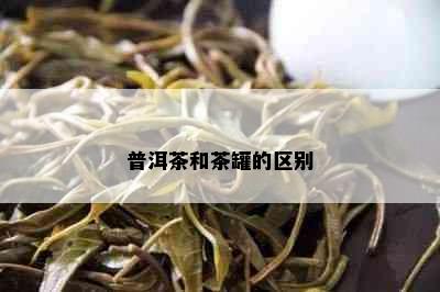 普洱茶和茶罐的区别