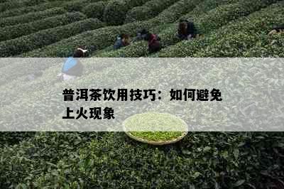 普洱茶饮用技巧：如何避免上火现象