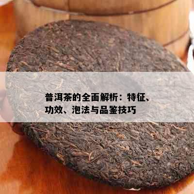 普洱茶的全面解析：特征、功效、泡法与品鉴技巧