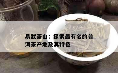 易武茶山：探索最有名的普洱茶产地及其特色