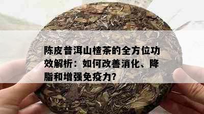 陈皮普洱山楂茶的全方位功效解析：如何改善消化、降脂和增强免疫力？