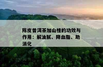 陈皮普洱茶加山楂的功效与作用：解油腻、降血脂、助消化