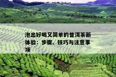 泡出好喝又简单的普洱茶新体验：步骤、技巧与注意事项