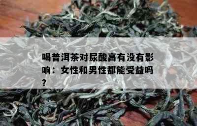 喝普洱茶对尿酸高有没有影响：女性和男性都能受益吗？