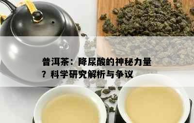 普洱茶：降尿酸的神秘力量？科学研究解析与争议