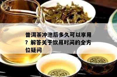 普洱茶冲泡后多久可以享用？解答关于饮用时间的全方位疑问