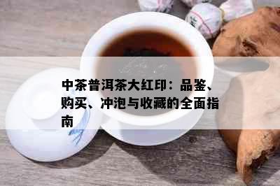 中茶普洱茶大红印：品鉴、购买、冲泡与收藏的全面指南