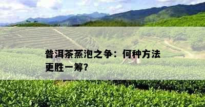 普洱茶蒸泡之争：何种方法更胜一筹？