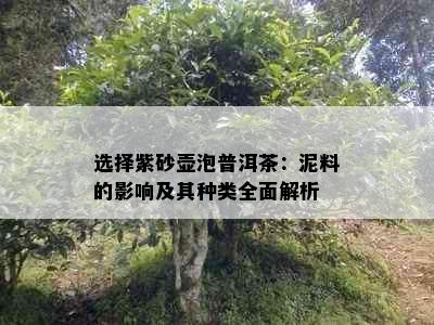 选择紫砂壶泡普洱茶：泥料的影响及其种类全面解析