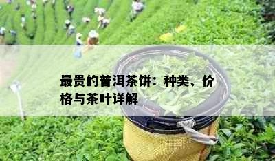 最贵的普洱茶饼：种类、价格与茶叶详解