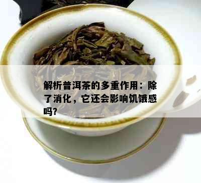 解析普洱茶的多重作用：除了消化，它还会影响饥饿感吗？