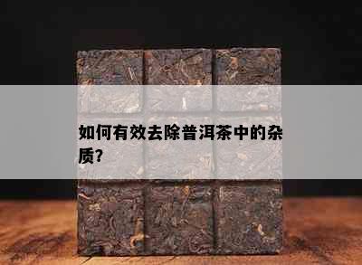 如何有效去除普洱茶中的杂质？