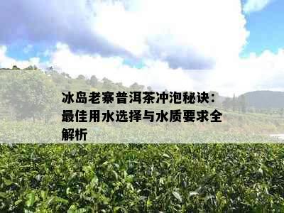 冰岛老寨普洱茶冲泡秘诀：更佳用水选择与水质要求全解析