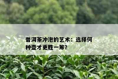 普洱茶冲泡的艺术：选择何种壶才更胜一筹？