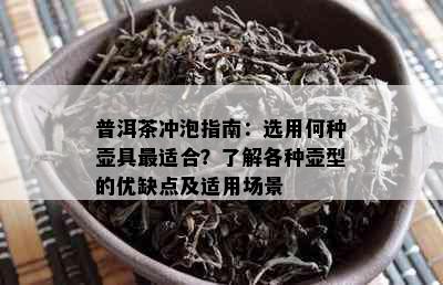 普洱茶冲泡指南：选用何种壶具最适合？了解各种壶型的优缺点及适用场景