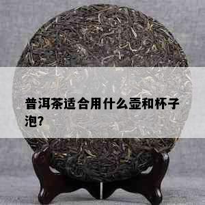 普洱茶适合用什么壶和杯子泡？