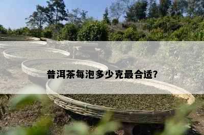 普洱茶每泡多少克最合适？