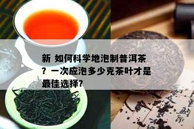 新 如何科学地泡制普洱茶？一次应泡多少克茶叶才是更佳选择？