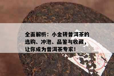 全面解析：小金砖普洱茶的选购、冲泡、品鉴与收藏，让你成为普洱茶专家！