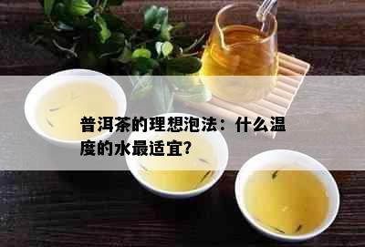 普洱茶的理想泡法：什么温度的水最适宜？