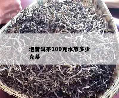 泡普洱茶100克水放多少克茶