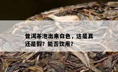 普洱茶泡出来白色，这是真还是假？能否饮用？