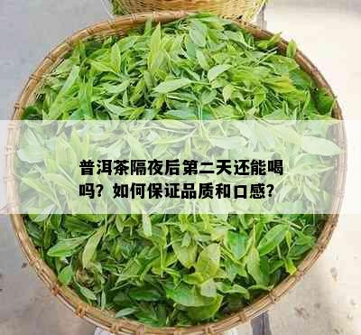 普洱茶隔夜后第二天还能喝吗？如何保证品质和口感？