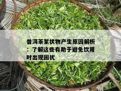 普洱茶絮状物产生原因解析：了解这些有助于避免饮用时出现困扰