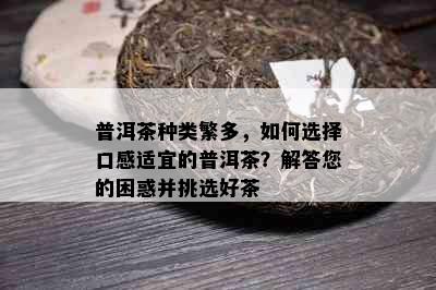 普洱茶种类繁多，如何选择口感适宜的普洱茶？解答您的困惑并挑选好茶