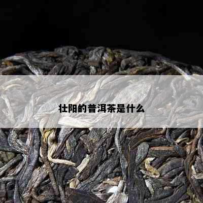 壮阳的普洱茶是什么