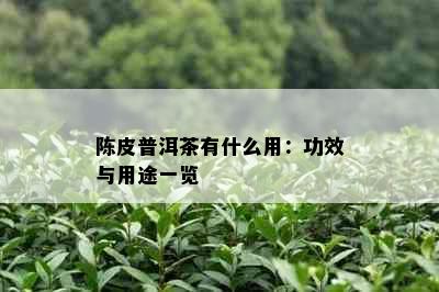 陈皮普洱茶有什么用：功效与用途一览