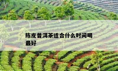 陈皮普洱茶适合什么时间喝更好