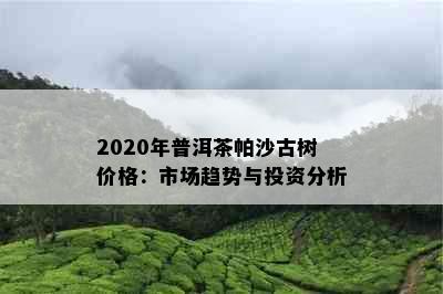 2020年普洱茶帕沙古树价格：市场趋势与投资分析