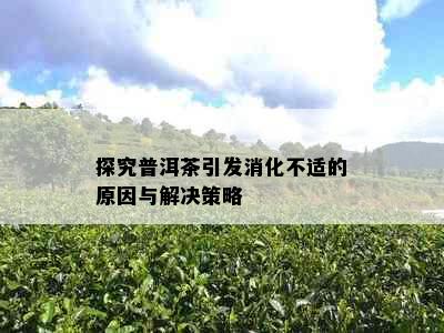 探究普洱茶引发消化不适的原因与解决策略